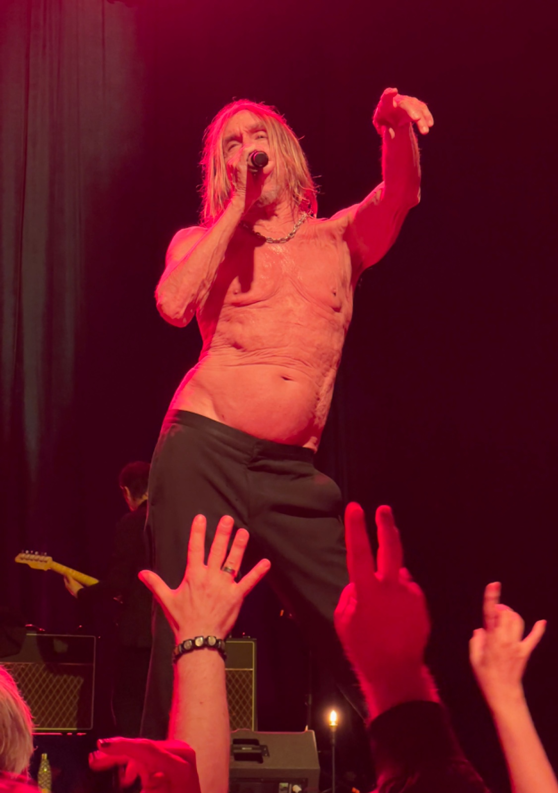 IggyPop2022-06-24ElectricHalleDussseldorfGermany (2).jpg